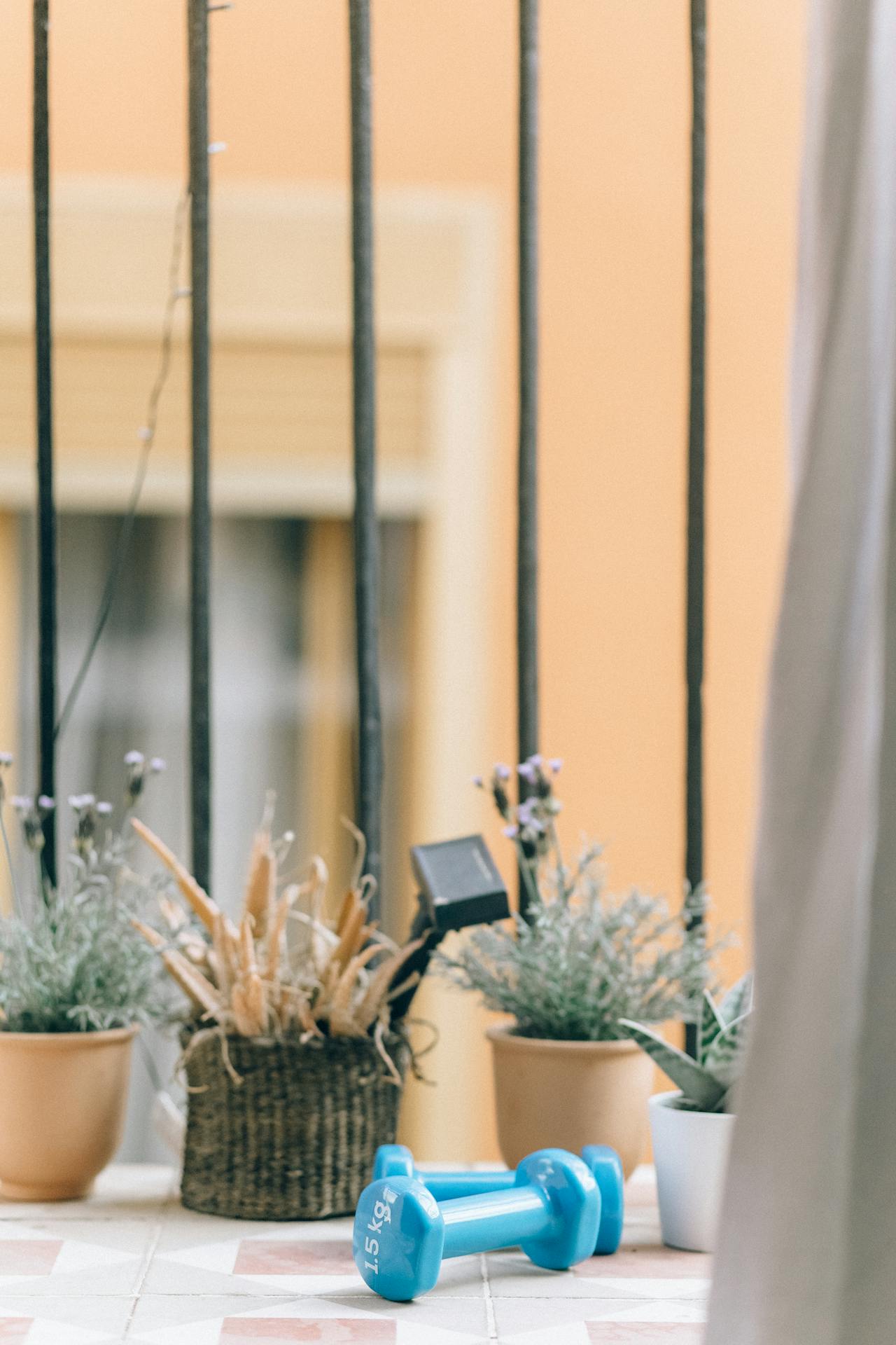 doniczki z roślinami na balkonie